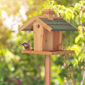 Mangeoire à oiseaux sur pied marron Homcom