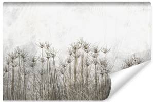 Fototapete PFLANZEN Beton Natur Vintage 300 x 210 x 210 cm