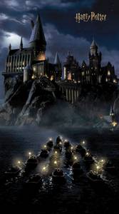 papier peint panoramique Harry Potter Po noir et bleu foncé