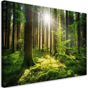 KUNSTDRUCK Green Forest Sunlight 1 120 x 80 cm