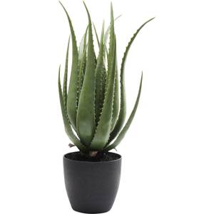 Plante décorative Aloe Vert - Matière plastique - 20 x 69 x 20 cm
