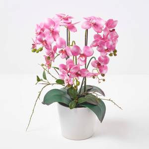 Künstliche pinke Phalaenopsis-Orchidee Pink - Kunststoff - 25 x 54 x 54 cm