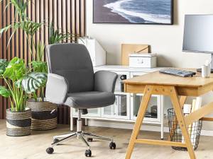 Chaise de bureau RAVISHING Gris