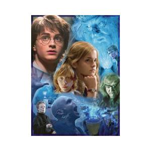 Puzzle Harry Potter in Hogwarts 500 Papier - 24 x 4 x 34 cm