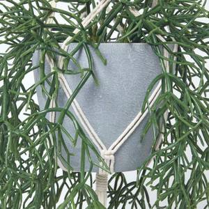 Künstliche Grünlilie mit Makramee Grün - Kunststoff - 30 x 116 x 116 cm