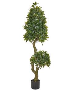 Plante artificielle LAURELE Noir - Vert - Matière plastique - 42 x 160 x 42 cm