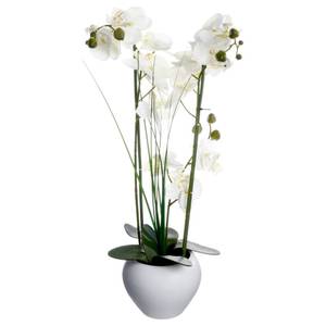 Künstliche Orchidee im Keramiktopf Kunststoff - 28 x 53 x 15 cm