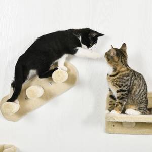 Katzen Kletterwand D30-555V00BG Beige