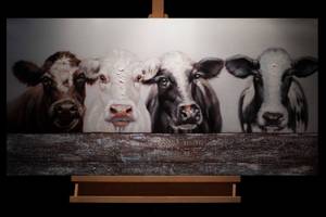 Bild handgemalt Tierische Freundschaft Schwarz - Weiß - Massivholz - Textil - 100 x 50 x 4 cm