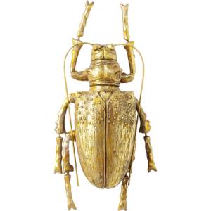 Wandschmuck Longicorn Beetle Gold - Kunststoff - 15 x 27 x 7 cm