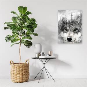 Wandbilder Wolf Wald Nebel Natur Tiere 80 x 120 cm