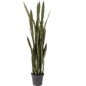 Plante décorative Sansevieria Vert - Matière plastique - 35 x 155 x 35 cm