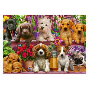 Puzzle Hunde im Regal 500 Teile Papier - 24 x 4 x 34 cm