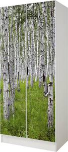 Armoire  Forêt de bouleaux Bois manufacturé - 43 x 162 x 70 cm