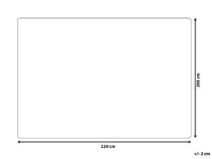 Plaid DELICE Gris - Gris lumineux - Largeur : 220 cm