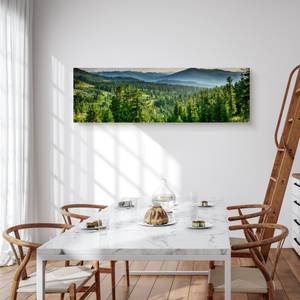 Panoramabild WALD Bäume See Berge Natur Beige - Blau - Grau - Grün - Textil - 145 x 45 x 45 cm