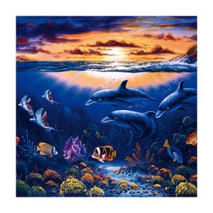 Dolphins World 240 x 240 cm