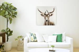 Acrylbild handgemalt Der Waldgruß Braun - Weiß - Massivholz - Textil - 80 x 80 x 4 cm