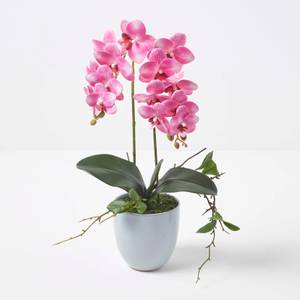 Künstliche pinke Phalaenopsis-Orchidee Pink - Kunststoff - 27 x 54 x 54 cm