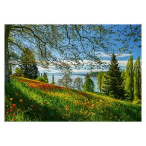 Puzzle Blühende Tulpen Insel Mainau Papier - 28 x 6 x 38 cm