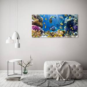 Wandbild Korallenriff 120 x 60 cm