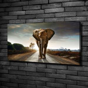 Wandbild Elefant 100 x 50 cm