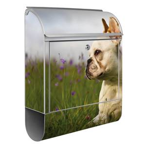 Briefkasten Stahl Französische Bulldogge Grau - Metall - 38 x 46 x 13 cm