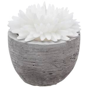 Dekokerze, weiße Blume im Zementtopf Weiß - Wachs - 10 x 10 x 10 cm