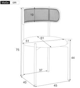 Esszimmerstuhl RattanVELV (6er Set) Grün - 6er Set