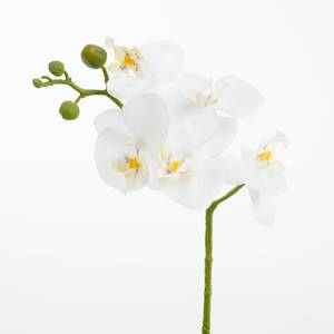 Plante artificielle Orchidée Blanc - Pierre - Textile - 13 x 48 x 13 cm