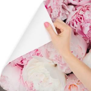 Papier Peint PIVOINES Fleurs Nature 3D 450 x 300 x 300 cm