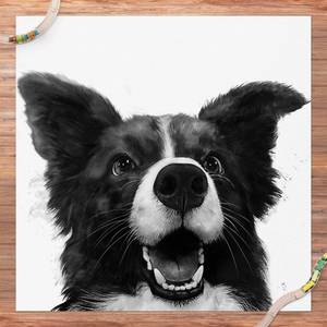 Illustration Border Collie Schwarz Weiß 100 x 100 cm