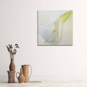 Wandbilder Callas Blumen Natur Weiß 60 x 60 cm