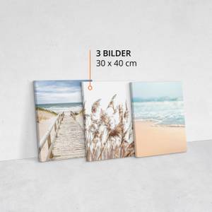 Leinwandbilder Set Strand Meer Pflanzen Beige - Blau - Grün - Textil - 90 x 40 x 40 cm