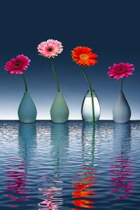 Tableau fleurs vases jolies fleurs 30 x 45 cm - Verre