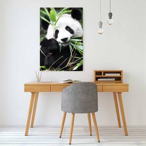 Tableau regard de panda 30 x 45 cm - Métal