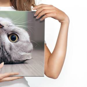 Image Sur Toile CHAT Animal Nature 3D 90 x 60 x 60 cm