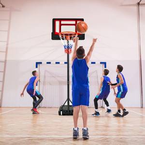 Basketballständer höhenverstellbar Schwarz - Kunststoff - 125 x 250 x 76 cm