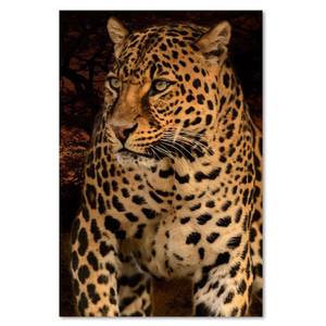 Leinwandbild Leopard Wildtiere Natur 60 x 90 cm