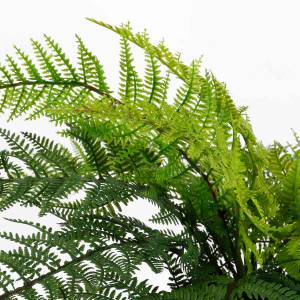 Kunstpflanze Farn Grün - Kunststoff - 50 x 38 x 50 cm
