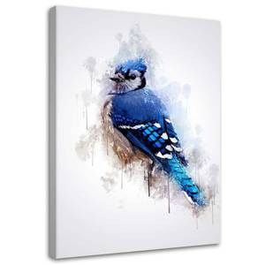 Leinwandbild Blauer Sperling Cornel Vlad 40 x 60 cm