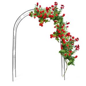 Rankbogen für Rosen mit Verzierung Grün - Metall - 153 x 233 x 39 cm