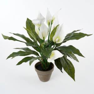 Plante artificielle Spathiphyllum Blanc - Pierre - Textile - 40 x 50 x 40 cm