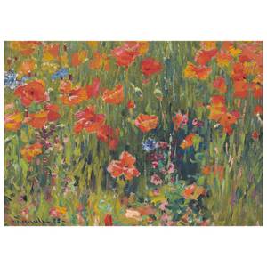 Leinwandbild Mohnblumen Textil - 2 x 50 x 70 cm