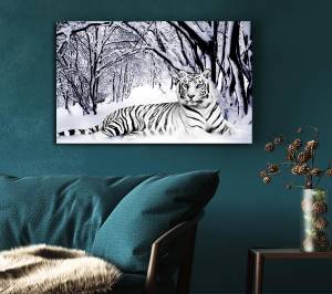 Weißer Tiger im Schnee Wandkunst Weiß - Textil - 81 x 51 x 5 cm