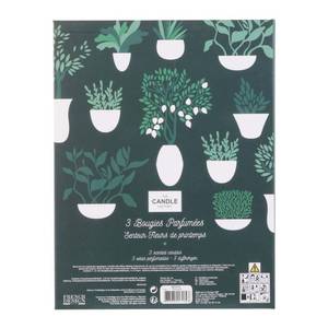 Coffret 3 bougies Nature candles Vert - Verre - 18 x 23 x 9 cm