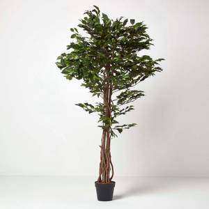 Kunstbaum Ficus Benjamini grün 180 cm kaufen | home24