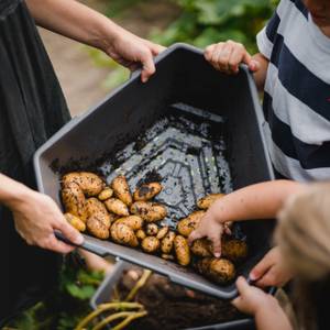 kaufen | Paul Potato Starter mit Untersetzer home24