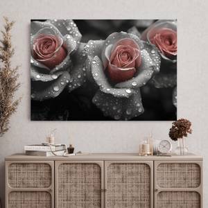 Bild Rose Blumen III 90 x 60 x 90 cm