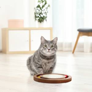 Jouet pour chat avec tapis en sisal Marron - Rouge - Jaune - Bois manufacturé - Rotin - 28 x 3 x 28 cm
